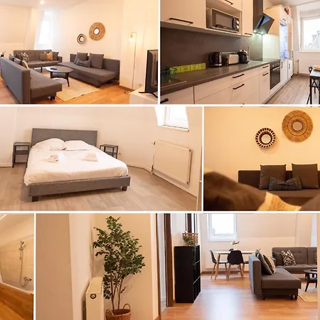 Cosy'home Ravissant Bien Situe * Mülhausen