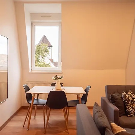 Cosy'home Ravissant Bien Situe Mülhausen