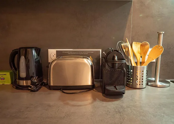 Cosy'home Ravissant Bien Situe * Mulhouse